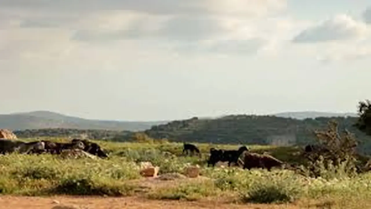 الأرصاد الجوية: طقس مشمس في الأردن الاثنين مع ارتفاع تدريجي بدرجات الحرارة